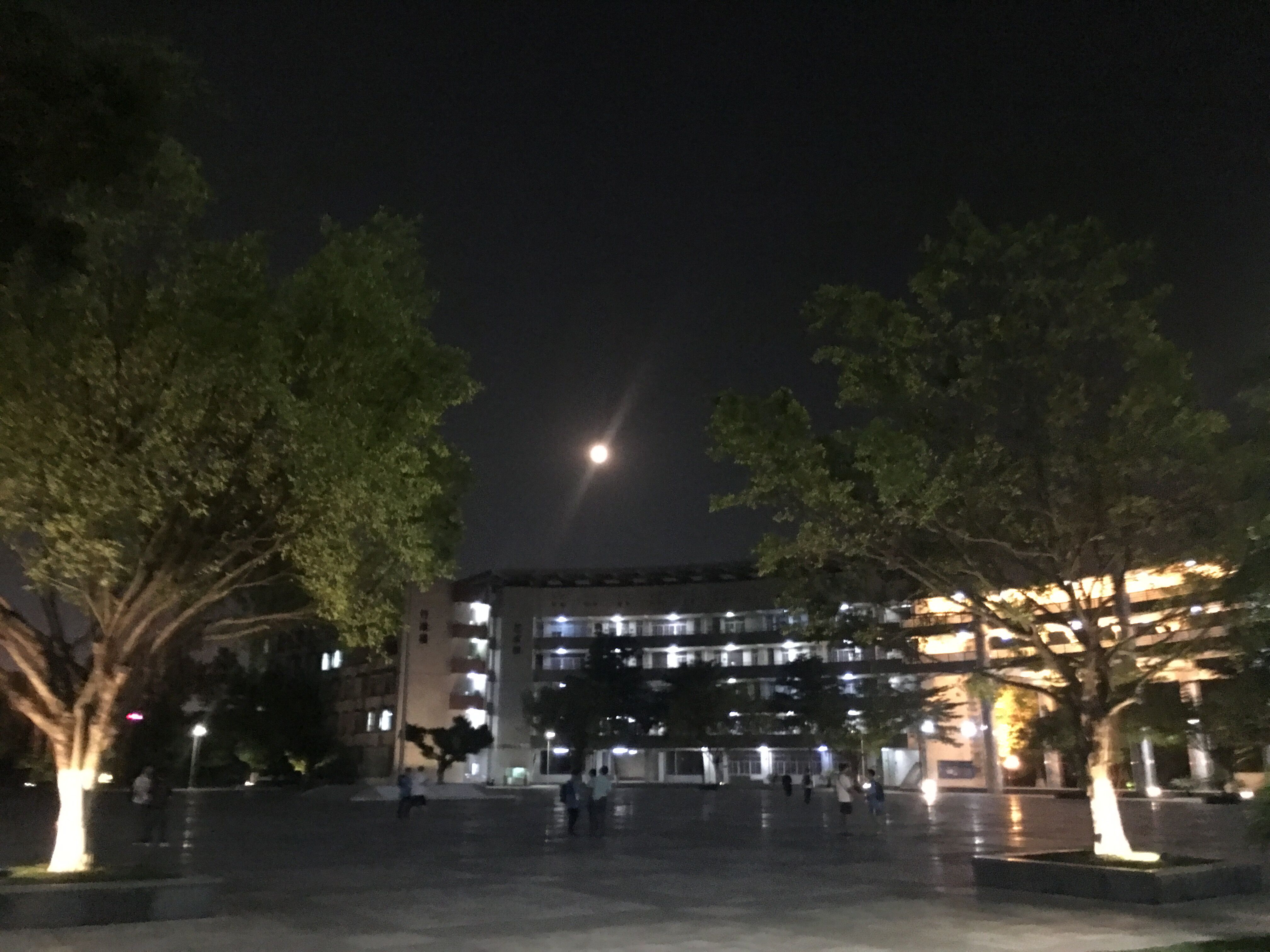 NOI2019 游记：原文插图