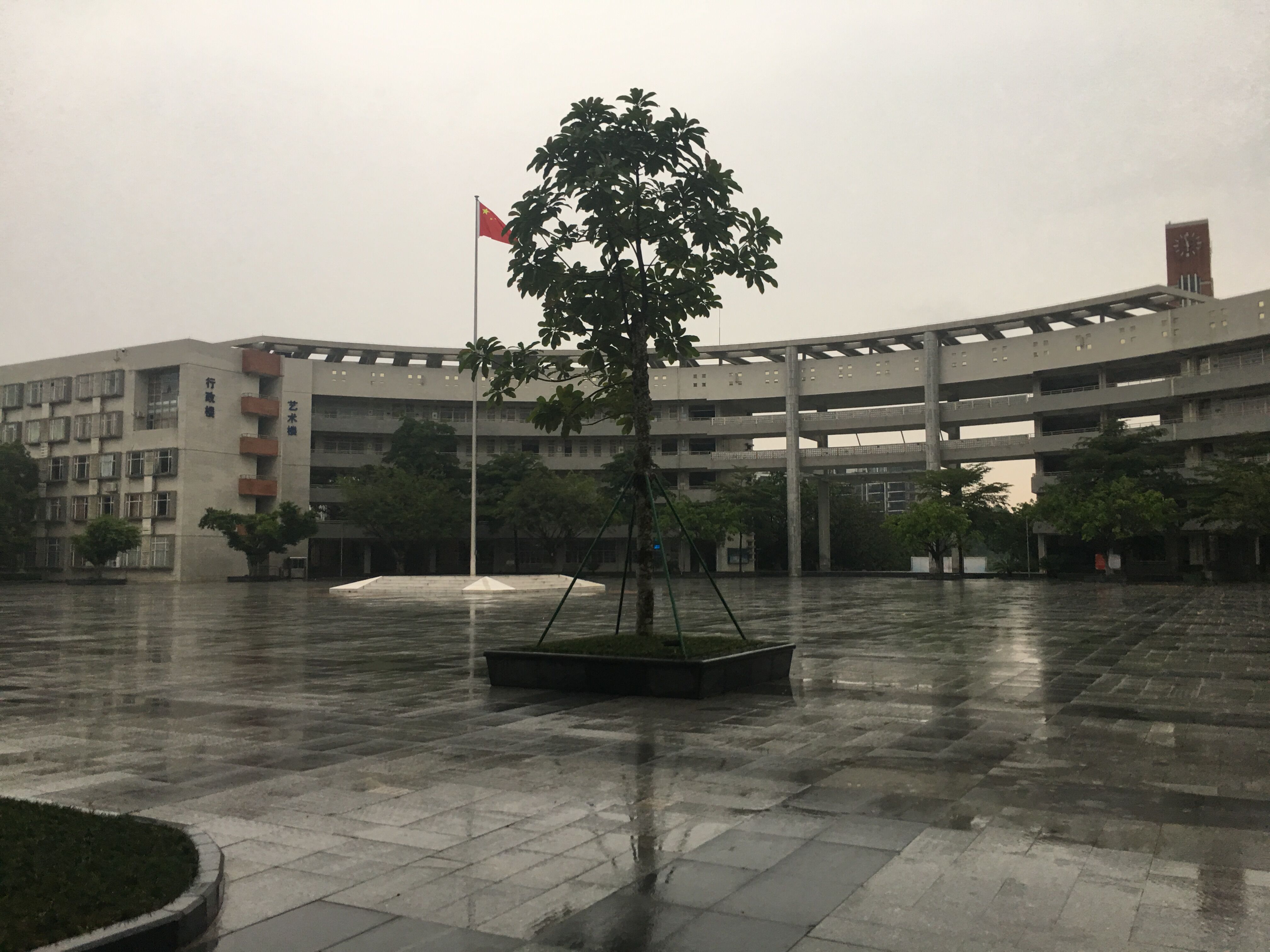 NOI2019 游记：原文插图